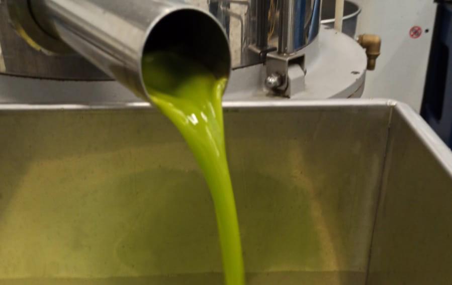 Festa dell'Olio San Quirico d'Orcia