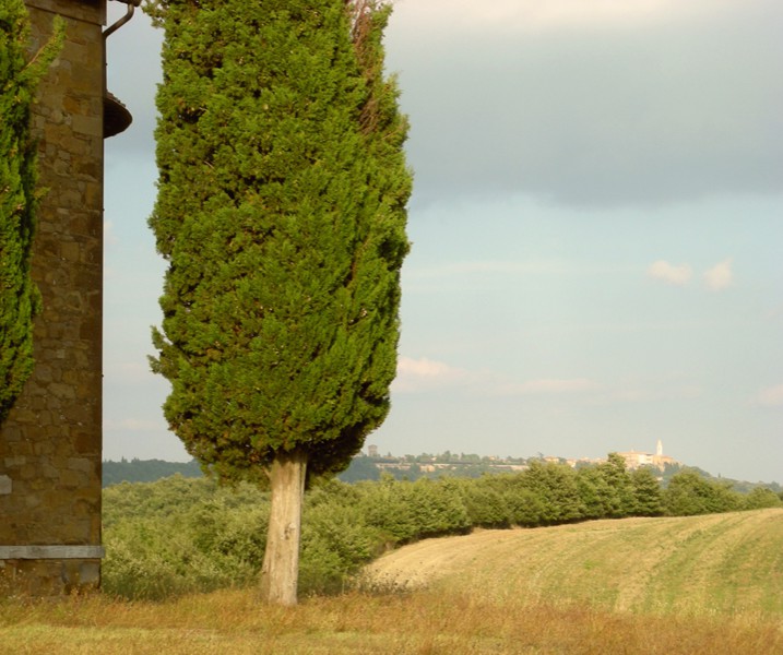 Cappella di Vitaleta - Vista su Pienza